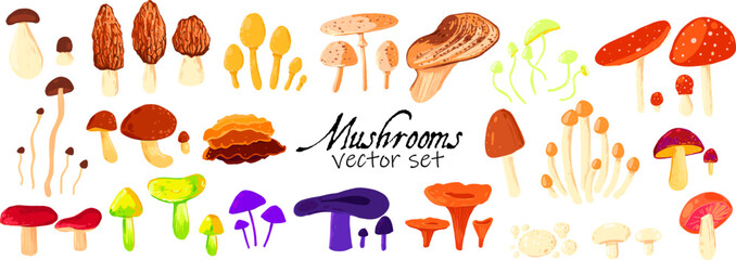 Colorful forest Mushrooms. Stock vector set isolated on white. Includes edible and toxic species like boletus, chanterelle, russula, morel, honey fungus, and others. Perfect for design.