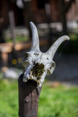Viking symbols in a viking village in Norway, Europe