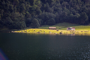 Houses in Bakka, Norway