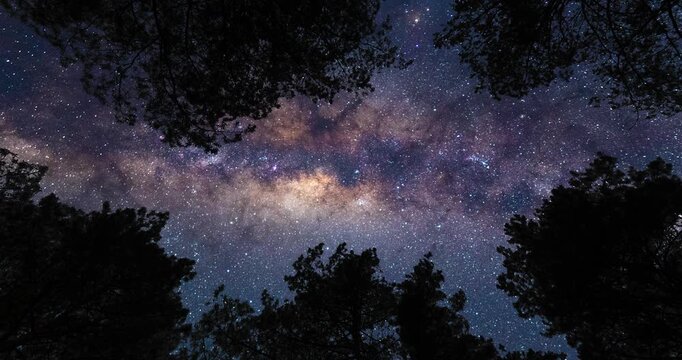 Ground view on starry sky with Milky Way from forest. Timelapse shot, Earth rotation concept. Camera is zooming out. Wide angle lens shot
