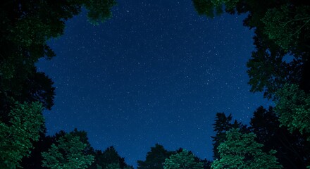 Night sky and trees silhouette with stars visible in dark blue environment