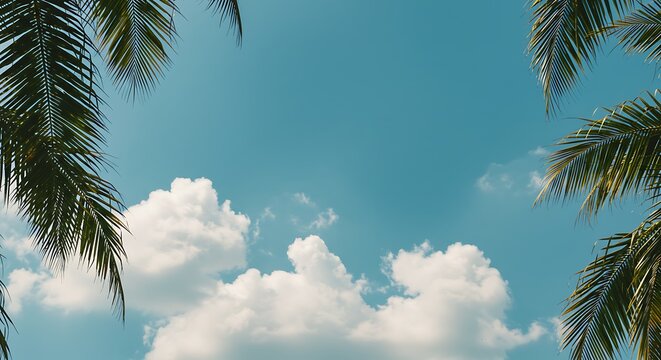 Palm fronds frame cloudy sky tropical scene summer background