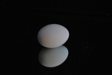 white egg on reflective mirror surface, black background, minimal composition, clean lighting, macro close-up, elegant contrast