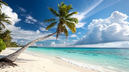 Tropical beach with leaning palm tree and turquoise ocean under a cloudy sky
