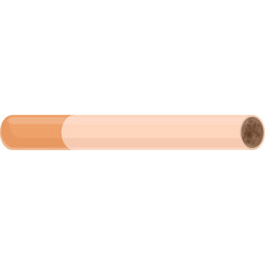 Close Up of a Single Cigarette with White Filter and Tobacco End on a Transparent Background