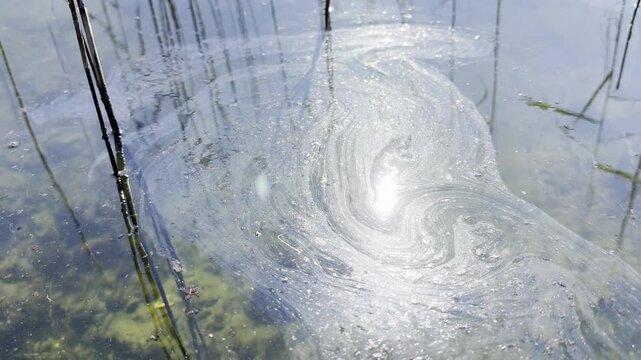 Oil slick floats on Biscarrosse Parentis lake after a pipeline leak from nearby oil well. Pollution visible on calm surface.