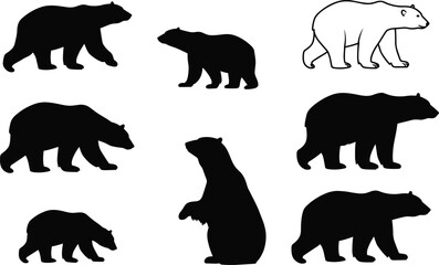 Bear silhouettes in various poses, walking, standing, crouching, outlined and solid black vector illustration for wildlife, nature, animal anatomy, educational content