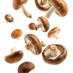 Fresh Shiitake Mushrooms Floating on White Background