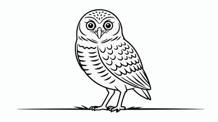 Charming illustration of a wise owl standing on a line.