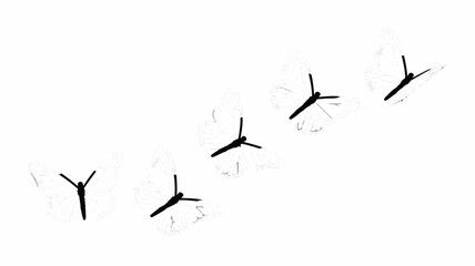 Delicate white butterflies gracefully ascend against a pure white background, symbolizing freedom and transformation.