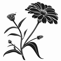 Black silhouette of a blooming zinnia flower with buds and a tiny insect
