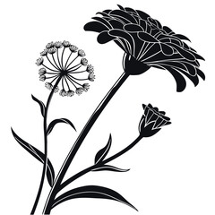 Elegant black and white silhouette of a daisy and dill flowers with a bud