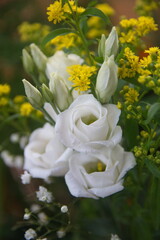 Bouquet of white Eustoma, commonly known as lisianthus or prairie gentian	
