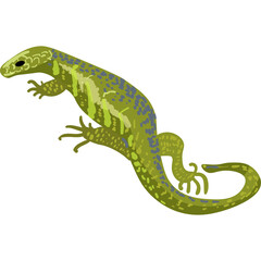 A Detailed Green Lizard Illustration On A White Background With A Transparent Overlay And Subtle Blue Markings Illustrating Reptilian Anatomy In A Cartoon Style