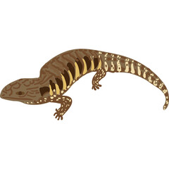 A Detailed Illustration Of A Blue Tongue Lizard With Brown And Yellow Stripes On A White Background