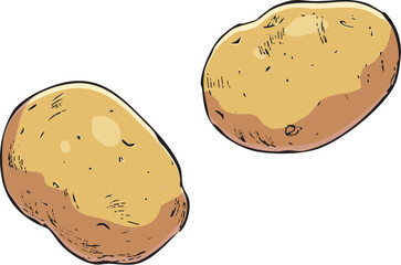 じゃがいも　イラスト　カラー