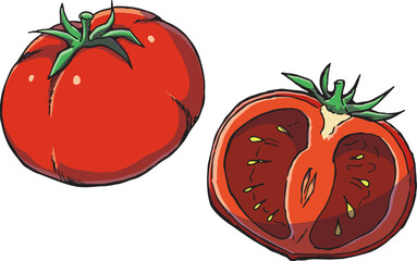 トマト　イラスト　カラー