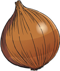 玉ねぎ　イラスト　カラー