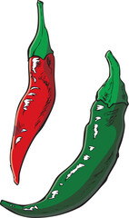 唐辛子　イラスト　カラー