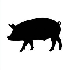 Fototapeta premium pig standing against a white background in a simple and minimalist design style