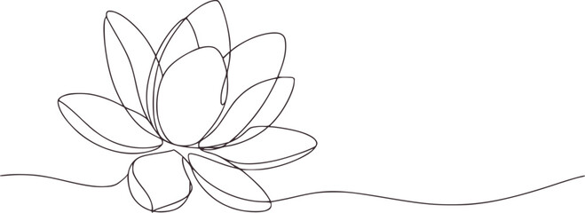Delicate continuous line drawing of a blooming lotus flower outline minimalist