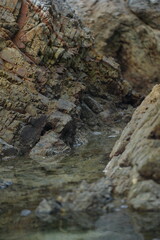 Layered rock formation with small patches of grass growing through its cracks, symbolizing the harmony and resilience of nature.