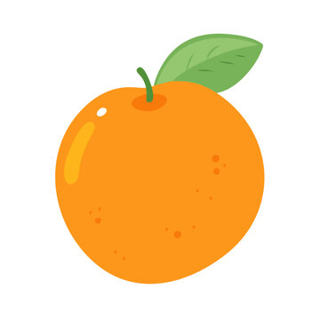orange vector illustration