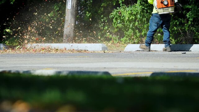 Worker using a leaf blower to clear fallen leaves and debris along the edge of a street or parking lot. Dust and dry leaves swirl into the air as the blower operates.