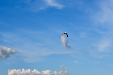 September in Orange Beach, Alabama