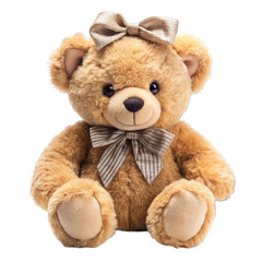 teddy bear on white background