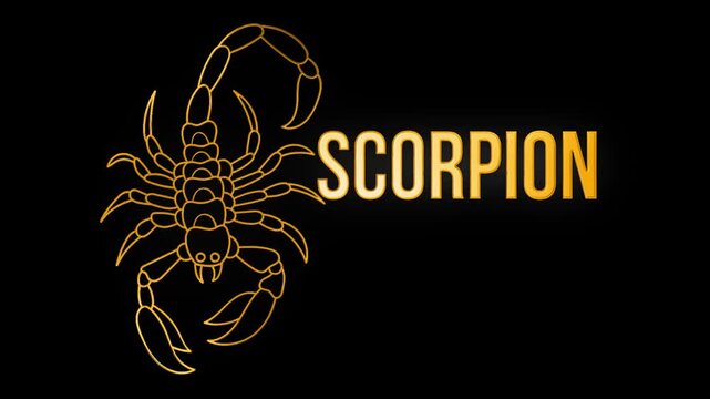 Scorpion design with golden shine animation video