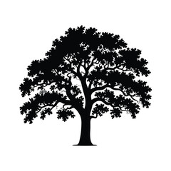 Silhouette of a large majestic oak tree with full foliage © ABDULLA