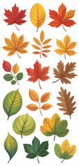 Fototapeta premium Beautiful collection of diverse autumn leaves in an array of vibrant colors