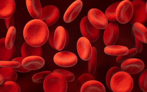 Red blood cells with biological and medical concept, 3d rendering.