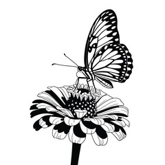 Detailed black and white illustration of a butterfly on a flower