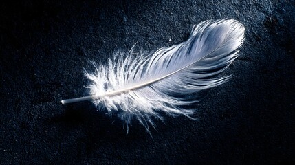 White feather rests on a dark, textured surface with soft lighting.
