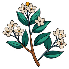 joey mulla mulla line art on white 