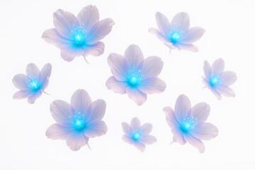 Ethereal floral arrangement with soft blue hues