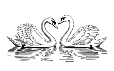 Black and white vector illustration of two swans facing each other on water, symbolizing love, romance, peace, and beauty in nature.