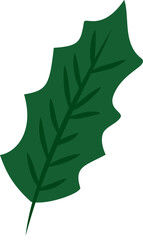 Vibrant Green Leaf Isolated on White Background