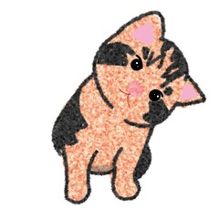 Playful Calico Kitten Illustration
 
