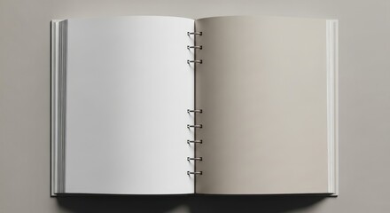Open blank ring binder notebook with one white page and one off white page