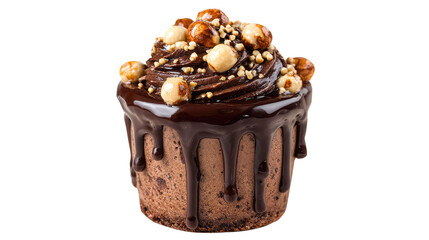 Chocolate cake with nuts and dripping sauce on transparent background	
