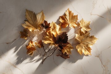 Golden Autumn Leaves Arrangement on Marble Surface with Dramatic Sunlight and Shadows.