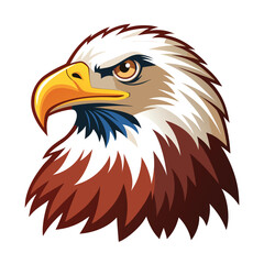 American bald eagle vector illustration isolated on white background
