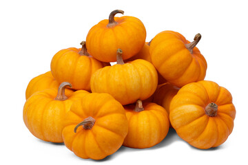 pile of mini pumpkins on white background