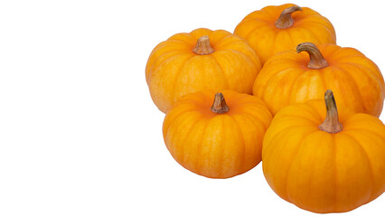small orange pumpkins isolated on white background.
