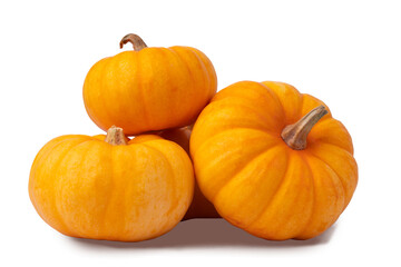 mini pumpkins stacked on dark background