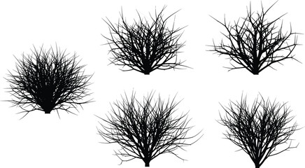 Silhouette of leafless bushes and small trees, natural branching patterns, winter vegetation, isolated black shapes, abstract forest design illustration