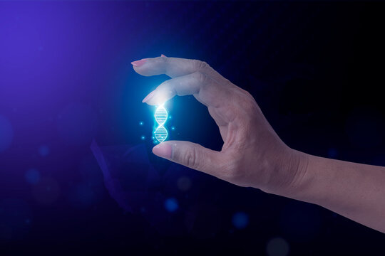 Hand holding AI DNA technology. Future medicine healthcare